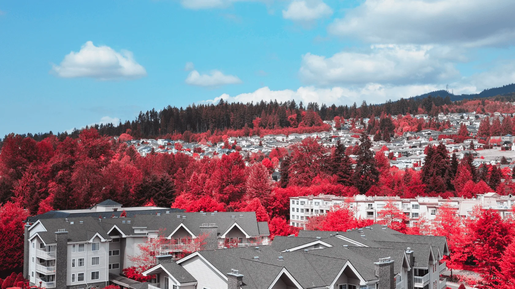 Burnaby to Coquitlam: A Family-Friendly Day Trip Itinerary