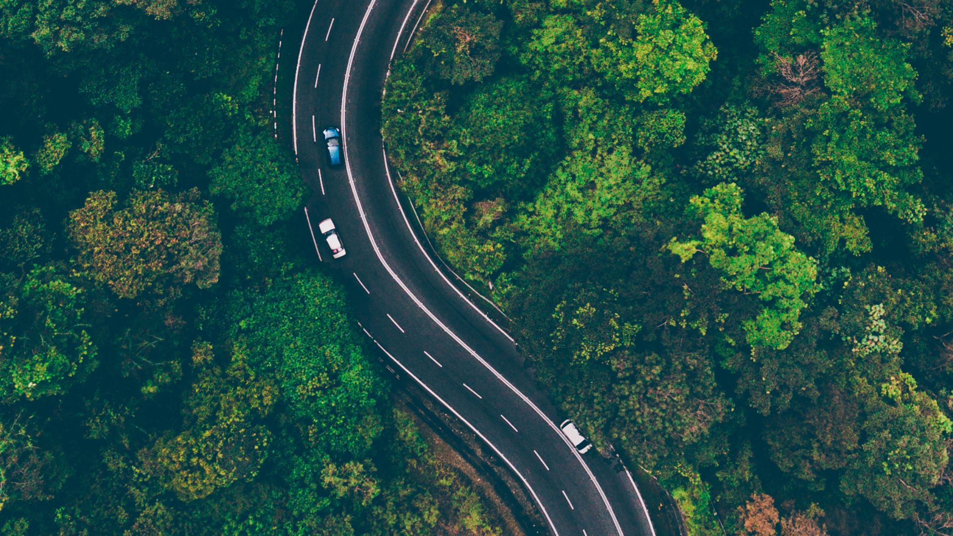 Mr rent a car1 One of the most rewarding trips to make in the Pacific Northwest is driving and touring between Vancouver to Seattle. It is ideal to the tourists who wish to spend two amazing places of one trip, the lively, cosmopolitan and the calm and creative atmosphere of Vancouver and Seattle respectively.