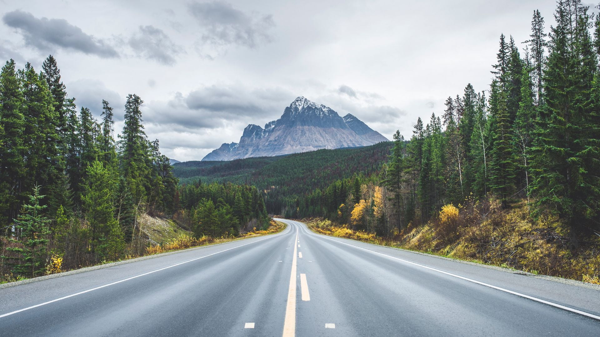 car rental in calgary