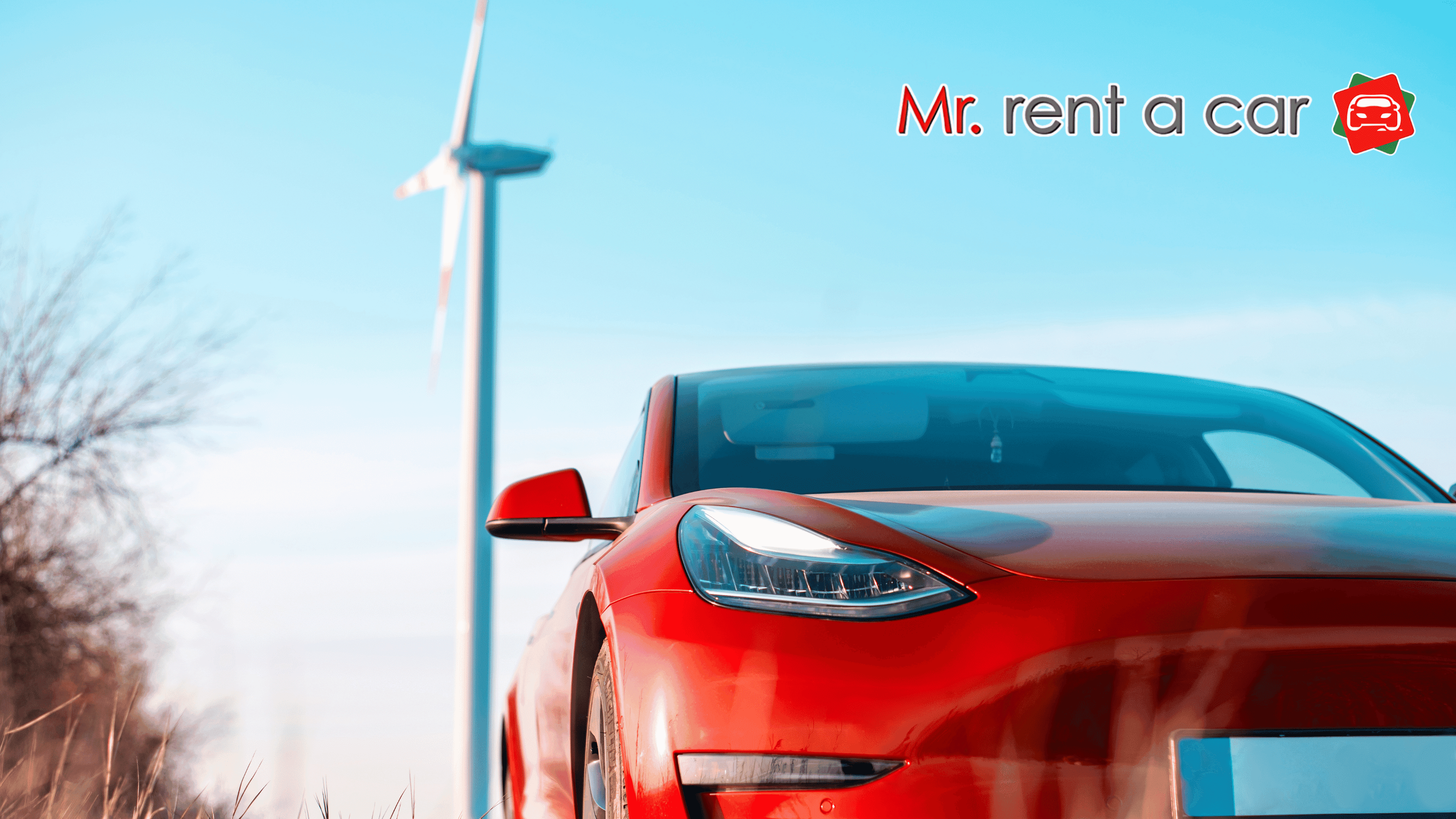 Planning to Rent a Tesla? 6 Planning to Rent a Tesla?