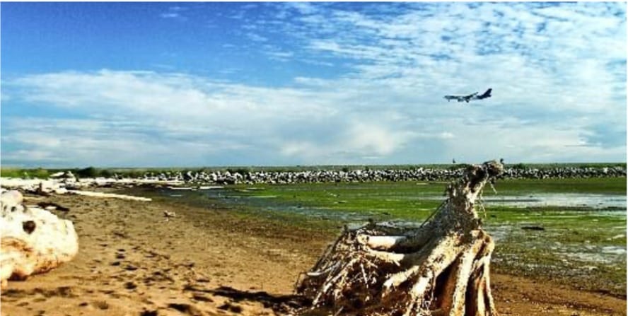 How Our Best Car Rental Services Supports Solo Travelers