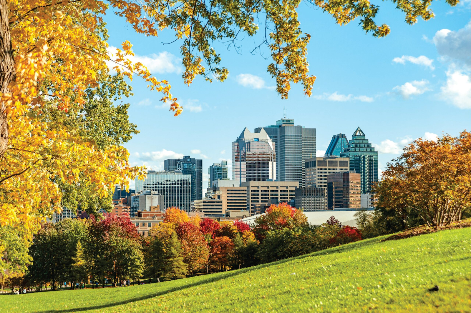 Car rental in Montreal
