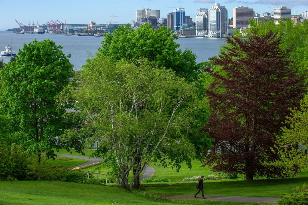 Car rental in Halifax, Nova scotia
