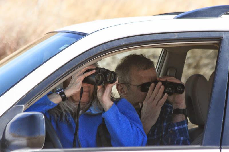 The Best Road Trips for Snowbirds: Driving South for the Winter in Canada