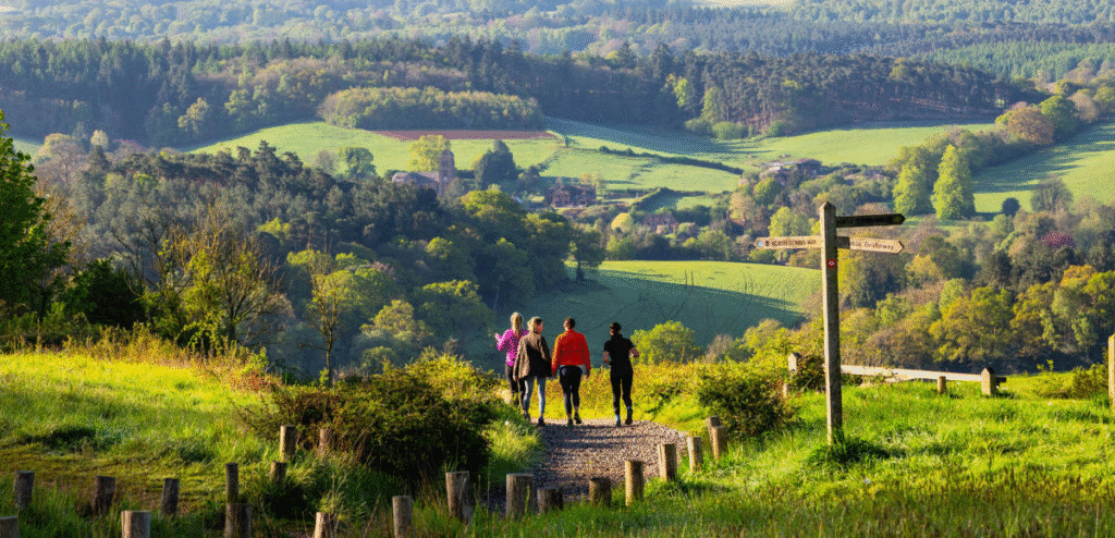 Exploring Surrey's best places by Car: From Urban to Rural 10 Surrey's best places by car