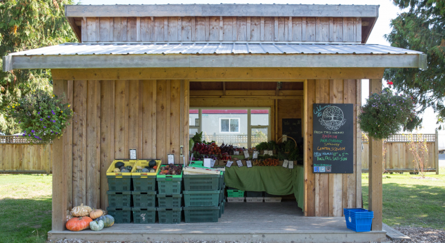 Delta's Agricultural Bounty: Farm Stands and U-Picks by Car 6 image 172 Delta, British Columbia, is a special place where city meets farmland, and the best way to explore this blend is by car. Whether you're looking for fresh produce, local honey, or a chance to pick your own berries, Delta offers an agricultural experience that’s both authentic and refreshing. To make the most of your journey, the smartest move is to rent a car Delta. Having your own wheels lets you move freely between farm stands and u-pick spots without worrying about bus routes or rideshare wait times.