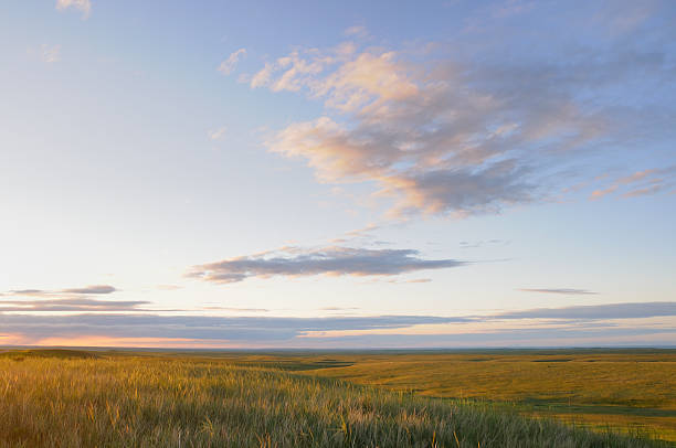 Prairie Skyline: A Saskatchewan Backroads Photography Journey 10 Open sky at Prairie