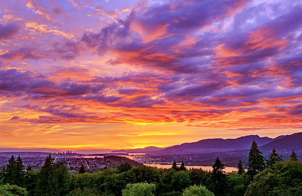 Sunset at Burnaby Mountain Conversation area