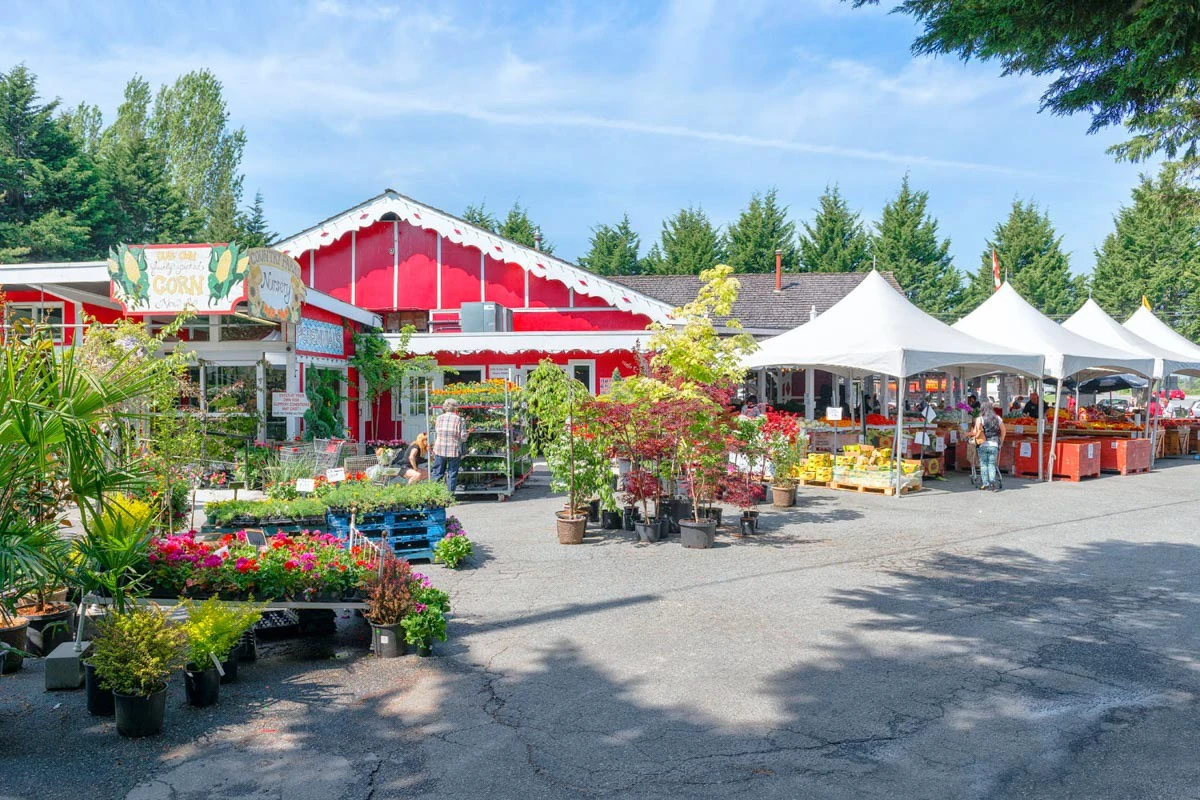 Mr. Rent A Car: Convenient Locations Across Canada 1 East Richmond Country Farms