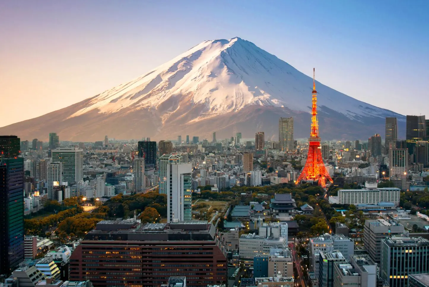 Car Rental or Train in Japan? Choosing the Best Way to Explore the Land of the Rising Sun