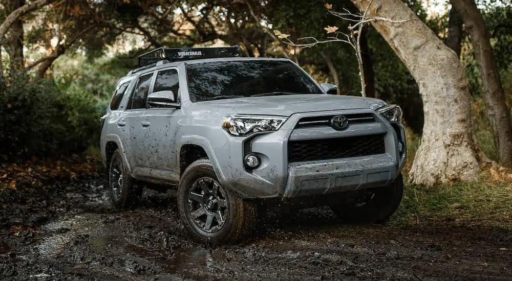 SUV Rental for Road Trips: The Ultimate Guide to Comfort and Adventure 8 Toyota SUVs Romeoville IL 2021 Toyota 4Runner Thinking of a road trip? Going for an SUV rental for road trips ensures you travel in comfort, with plentiful space and the flexibility to explore any terrain. Whether you’re heading to the mountains, cruising along coastal highways, or discovering hidden gems, choosing the right vehicle is essential.