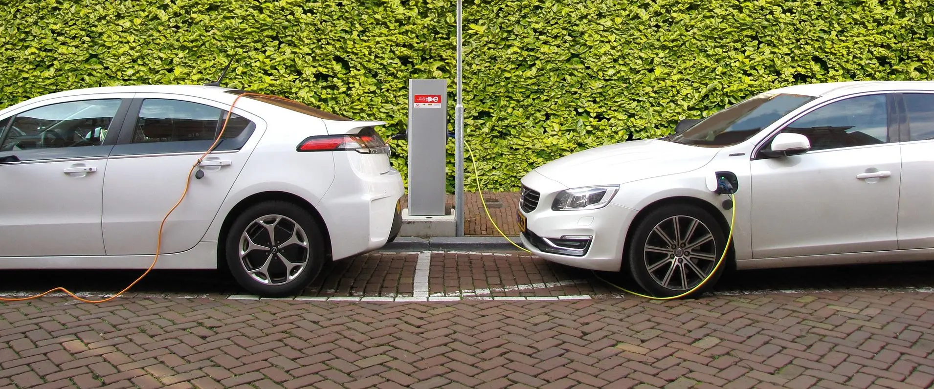 Auto Car Rental Near Me