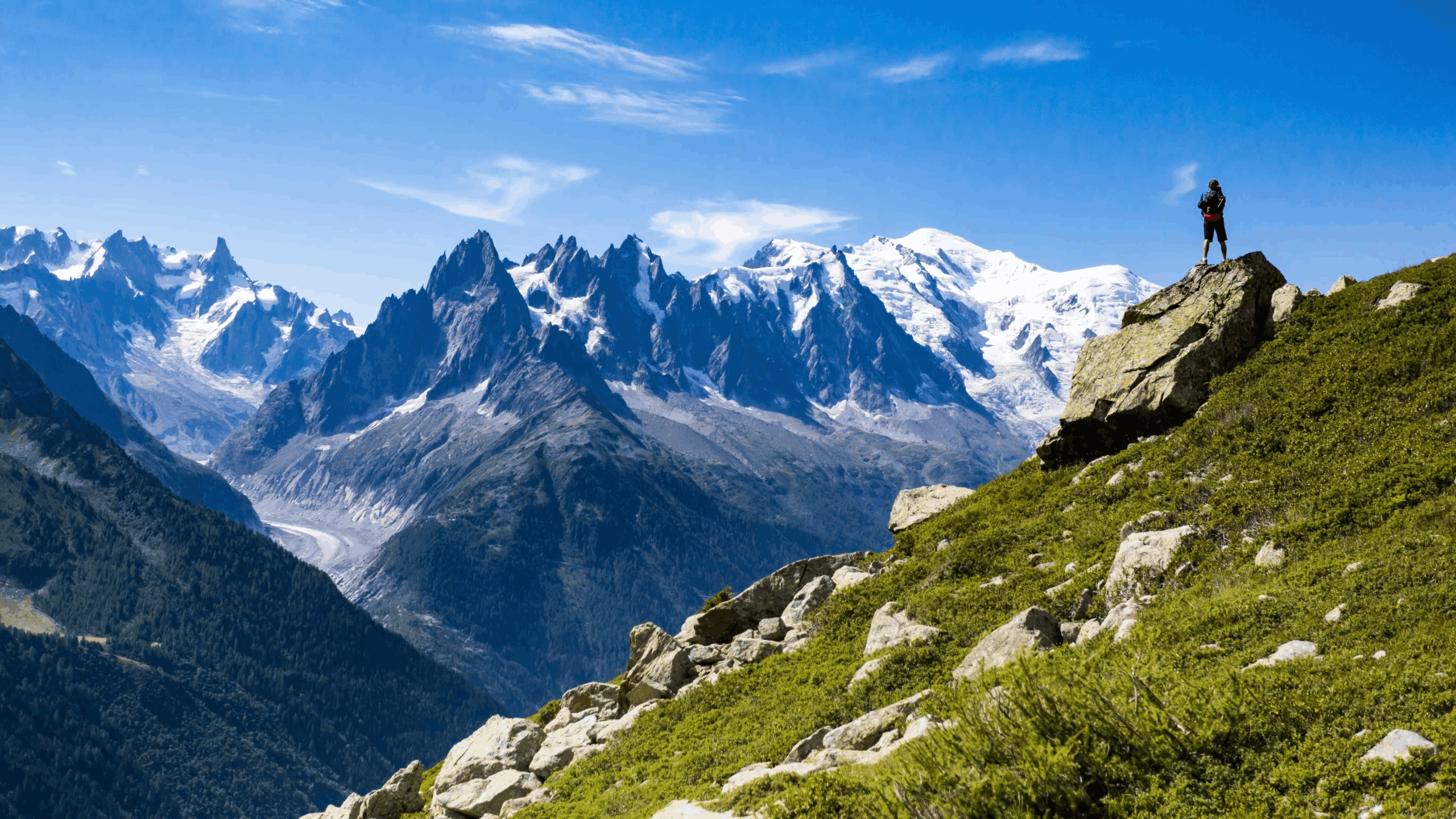 Urban to Alpine: Calgary Rentals That Take You from City Streets to Mountain Peaks 4 Urban to Alpine: Calgary Rentals That Take You from City Streets to Mountain Peaks