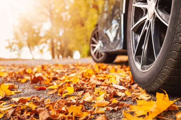Seasonal Driving Tips in Canada: Stay Safe on the Road Year-Round 10 Standard Car Rental