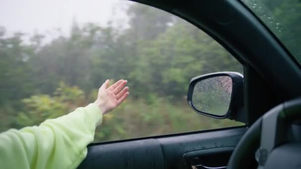 How to Spend a Rainy Day in Vancouver (And Still Have Fun!) 4 A view of heavy rainfall from inside a car