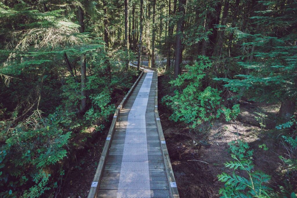 Burnaby to Coquitlam: A Family-Friendly Day Trip Itinerary 9 Mundy Park in Coquitlam