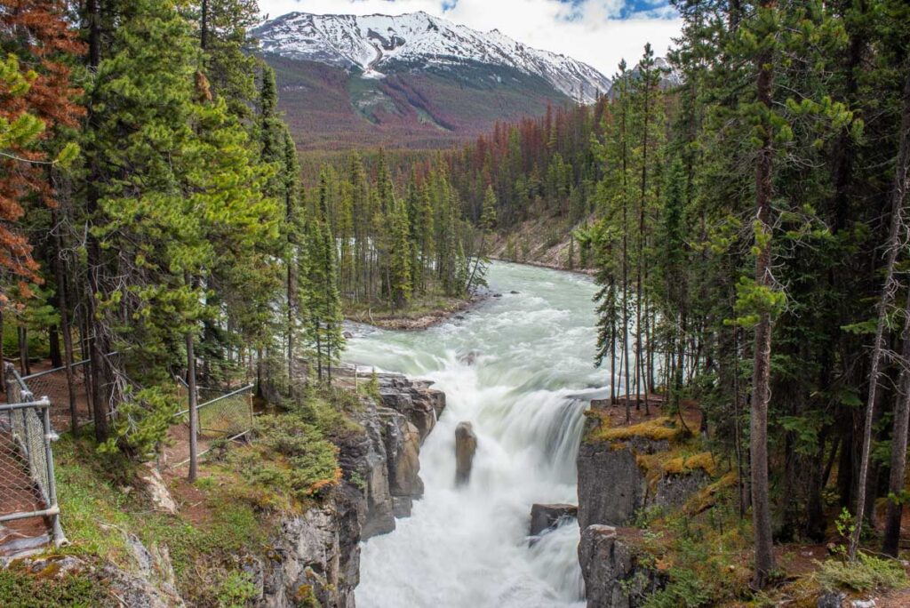 The Ultimate Icefields Parkway Road Trip: Where to Stop Between Banff and Jasper 8 Sunwapta Falls