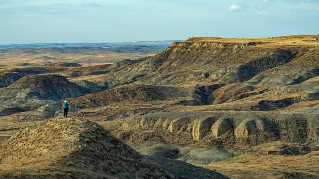 Prairie Skyline: A Saskatchewan Backroads Photography Journey 9 Explore the Wild Prairie in Grasslands National Park, Saskatchewan