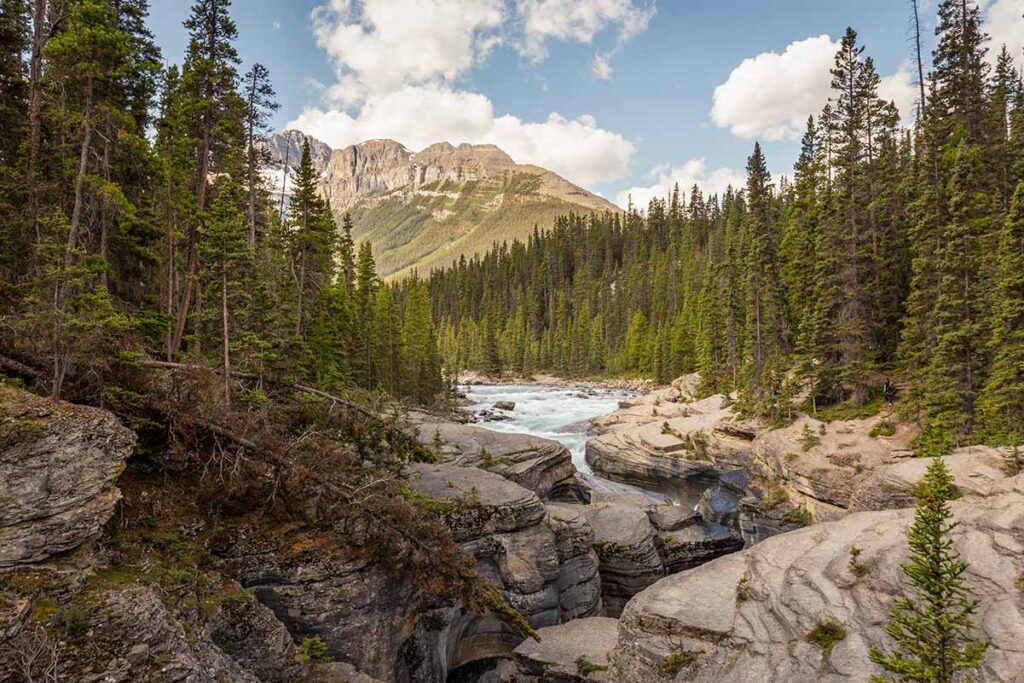 The Ultimate Icefields Parkway Road Trip: Where to Stop Between Banff and Jasper 6 Mistaya Canyon