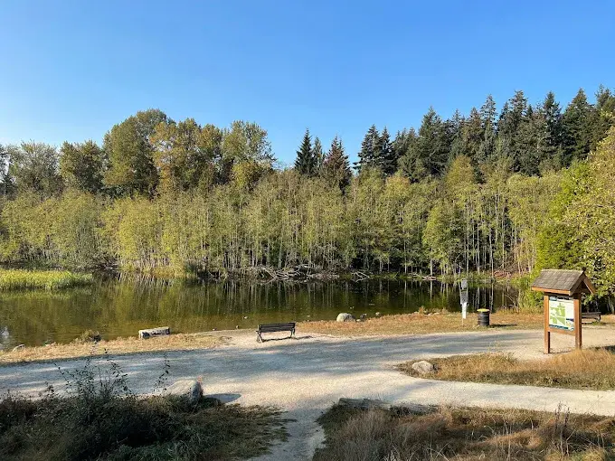 Your Complete Guide to Vancouver Car Rental YVR Services 3 Car Rental YVR